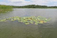 Machovo-jezero-041